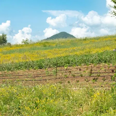 Borgo Del Mastro E La Vostra Bucolica!